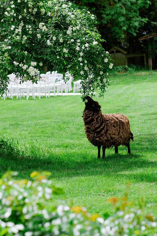 Bed and Breakfast Le Mouton Blaison Exterior foto